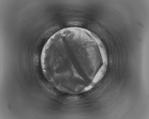 X0000112750551200910011156