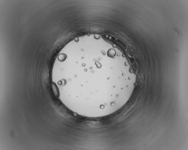 X0000112750552200910011156