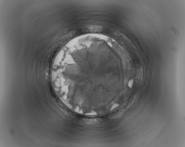 X0000112750553200910011156