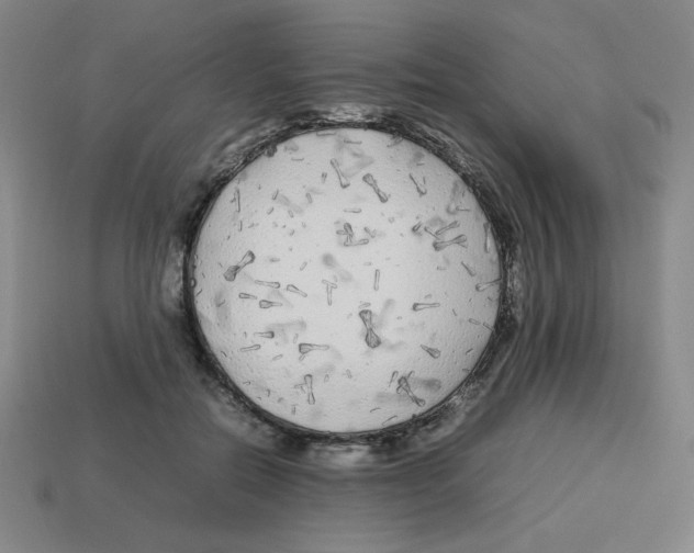 X0000112750554200910011156