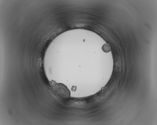 X0000112750555200910011156