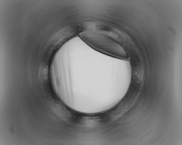 X0000112750556200910011157