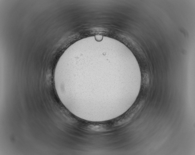 X0000112750557200910011157