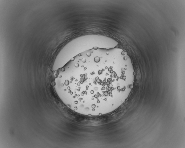 X0000112750559200910011157