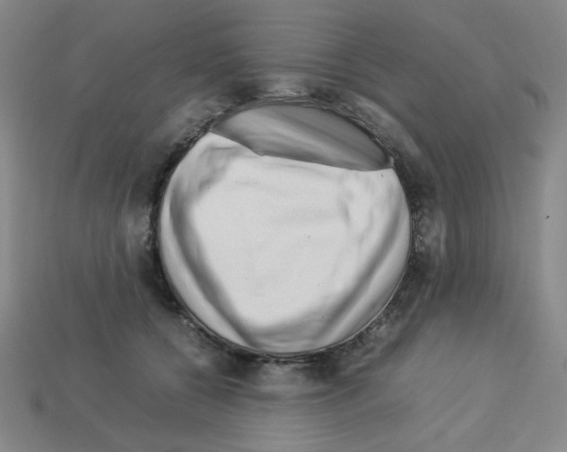 X0000112750560200910011157