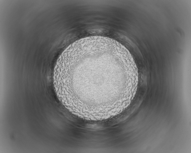 X0000112750561200910011157