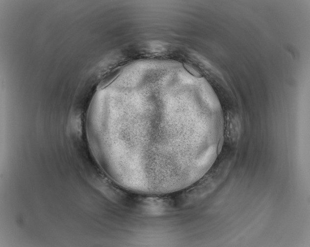 X0000112750562200910011157