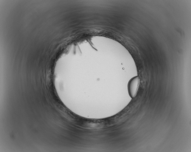 X0000112750563200910011157