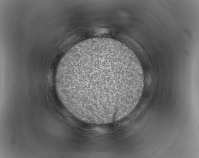 X0000112750565200910011157