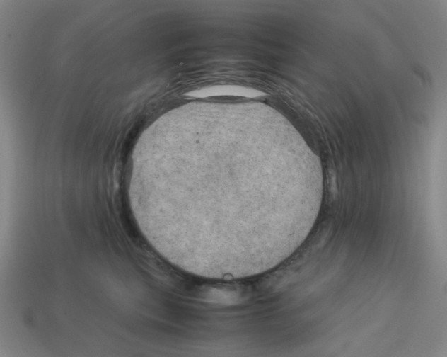 X0000112750567200910011157