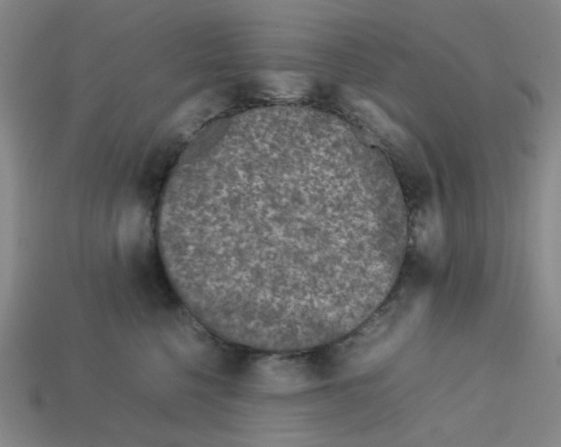 X0000112750568200910011157