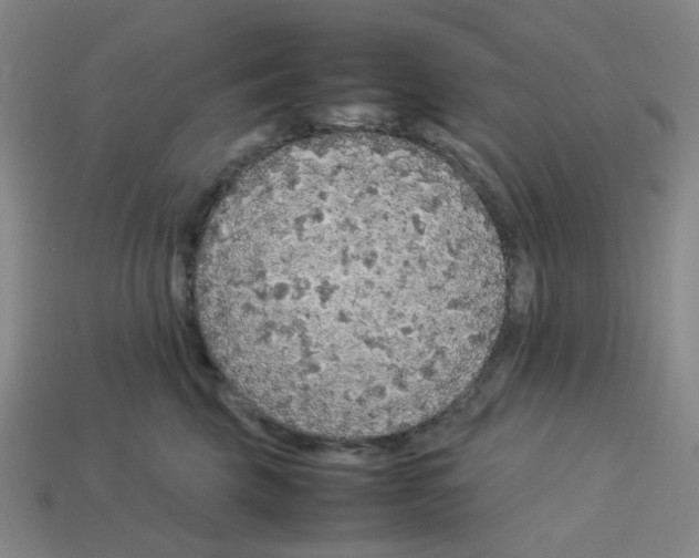 X0000112750569200910011157