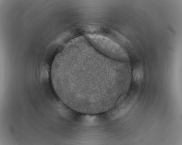 X0000112750570200910011157