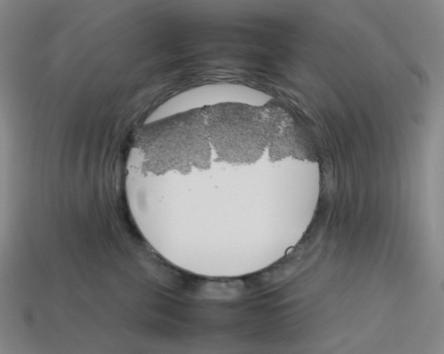 X0000112750571200910011157