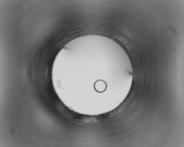 X0000112750572200910011157