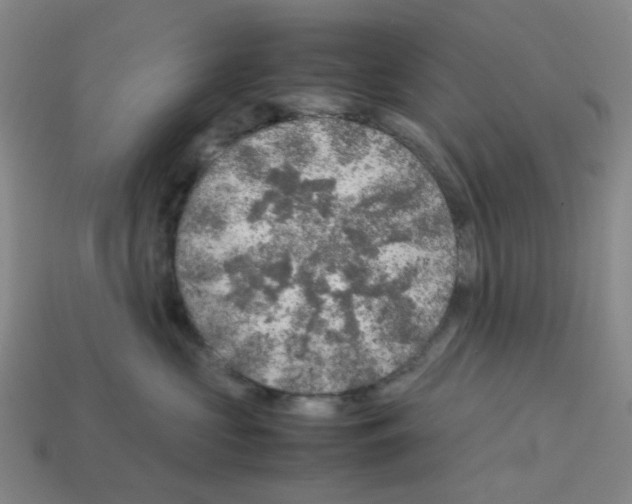 X0000112750573200910011157