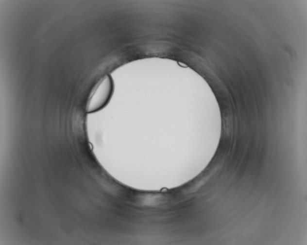 X0000112750575200910011157