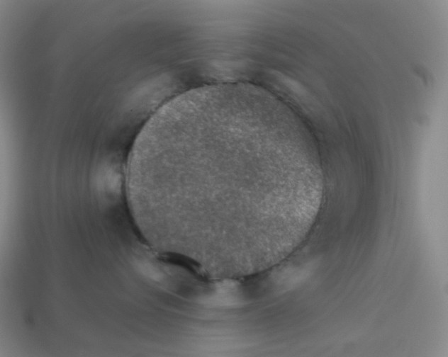 X0000112750576200910011157