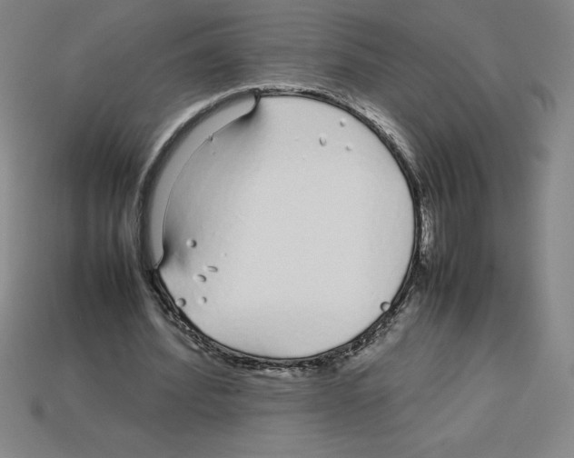 X0000112750580200910011156