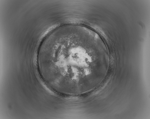 X0000112750581200910011156