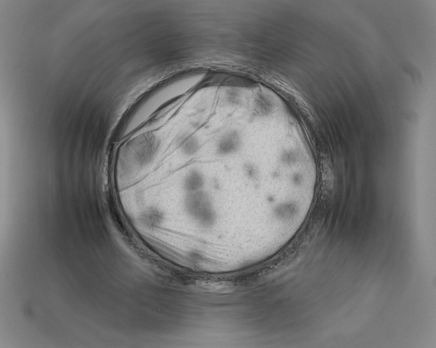 X0000112750582200910011156