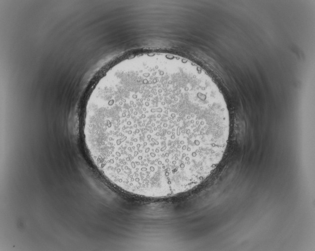 X0000112750584200910011156