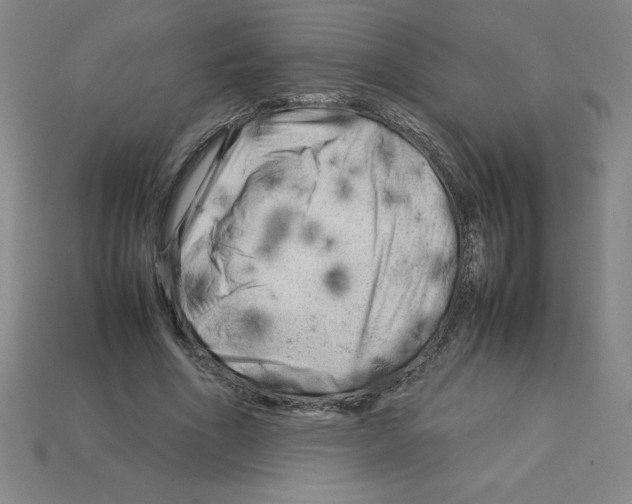 X0000112750586200910011156