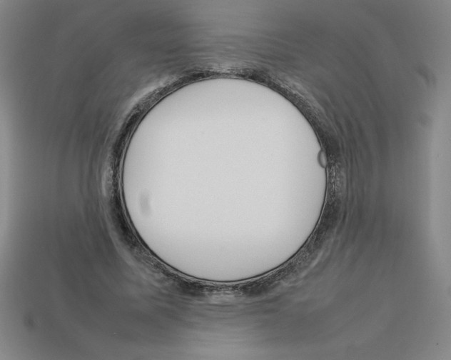 X0000112750587200910011156