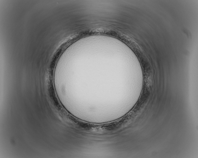 X0000112750591200910011156