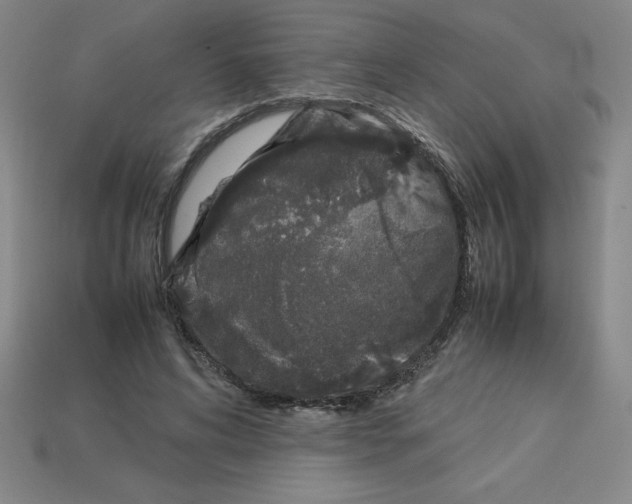 X0000112750592200910011156