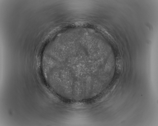 X0000112750593200910011156