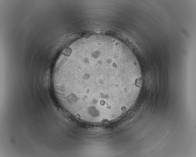 X0000112750594200910011156