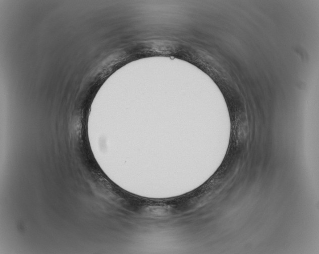 X0000112750595200910011156