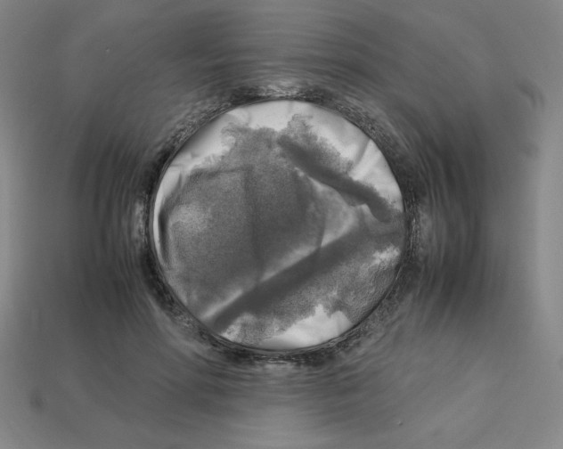 X0000112750598200910011156