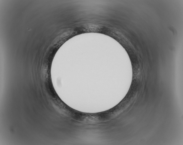 X0000112750599200910011156