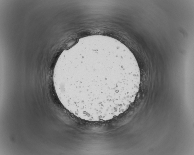 X0000112750601200910011156