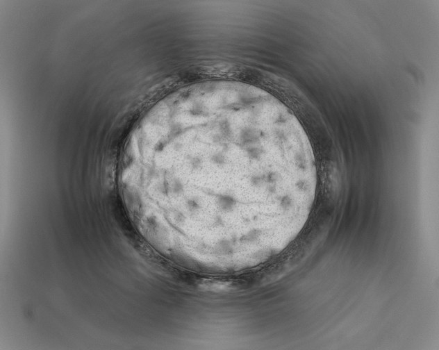 X0000112750602200910011156