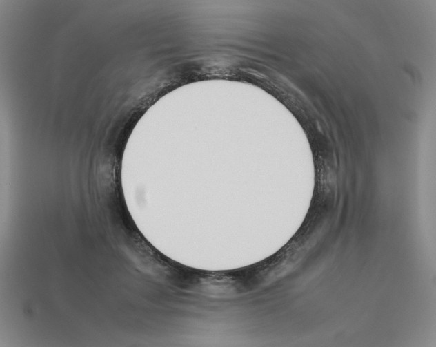 X0000112750603200910011156