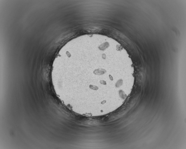 X0000112750604200910011156