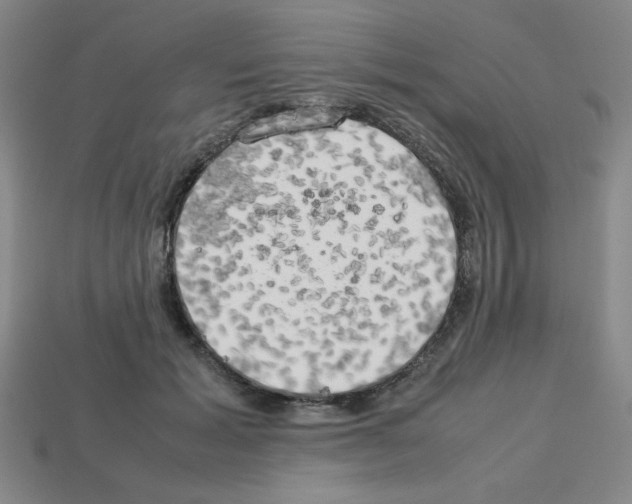 X0000112750605200910011156