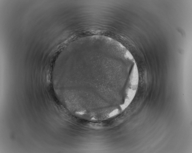 X0000112750606200910011156