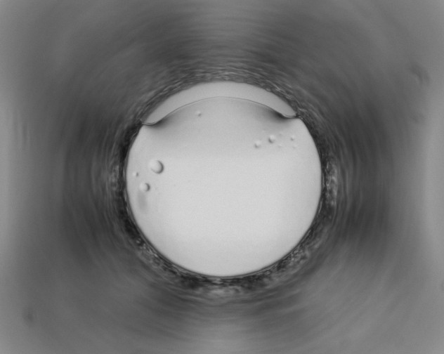 X0000112750608200910011156