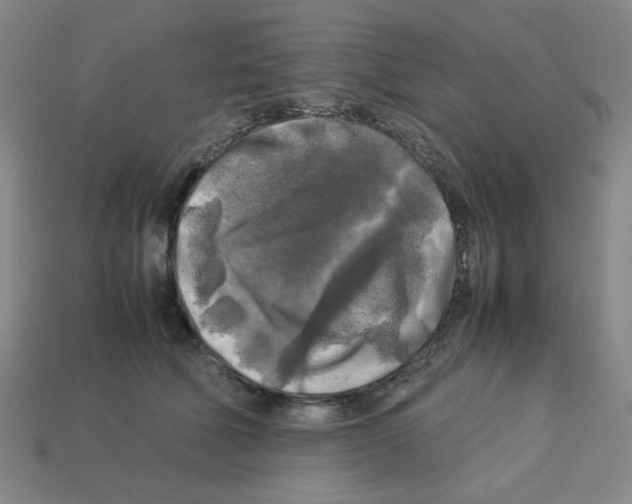 X0000112750610200910011156