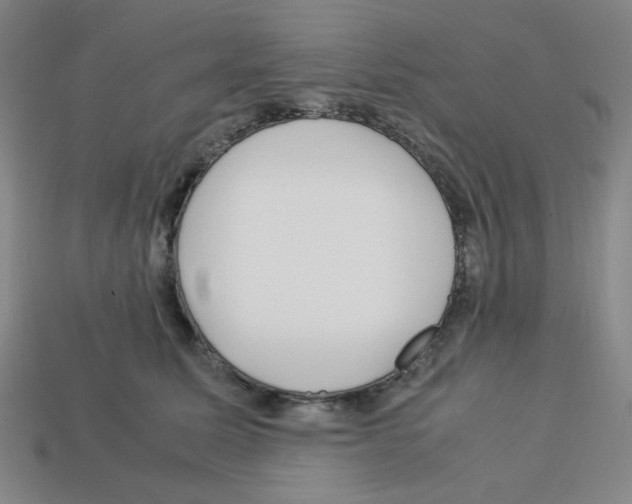 X0000112750611200910011156