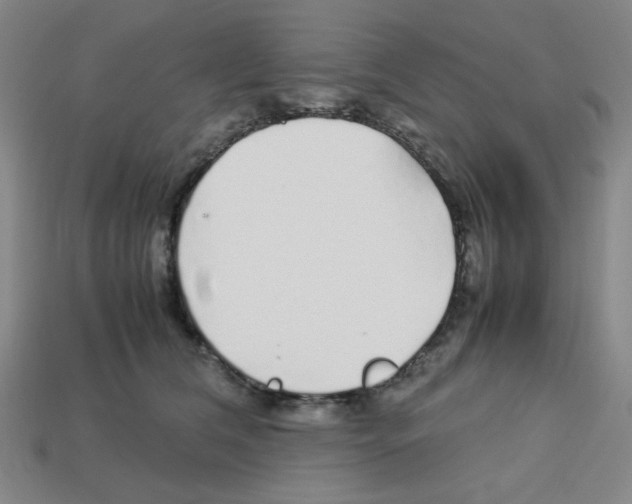 X0000112750612200910011156