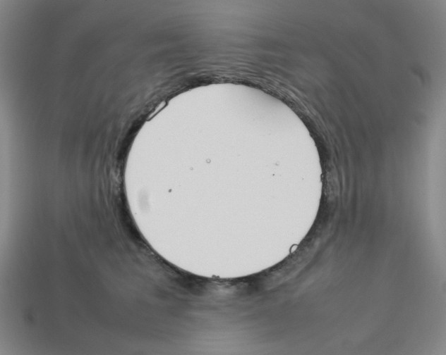 X0000112750613200910011156