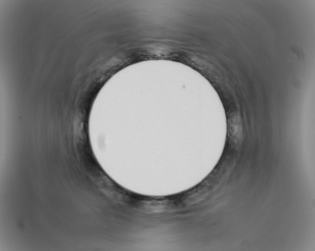 X0000112750615200910011156