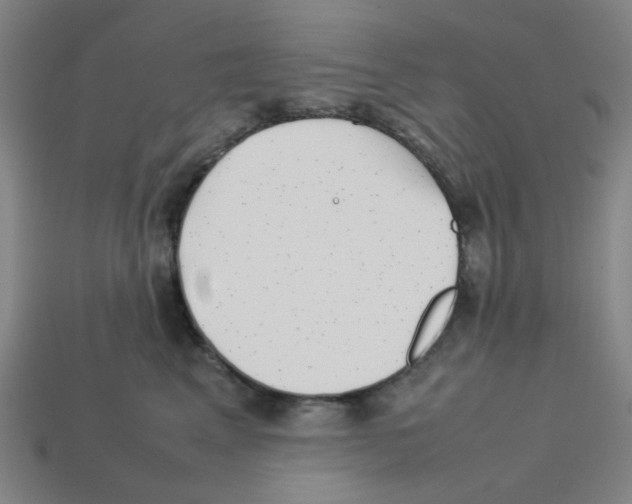 X0000112750617200910011155