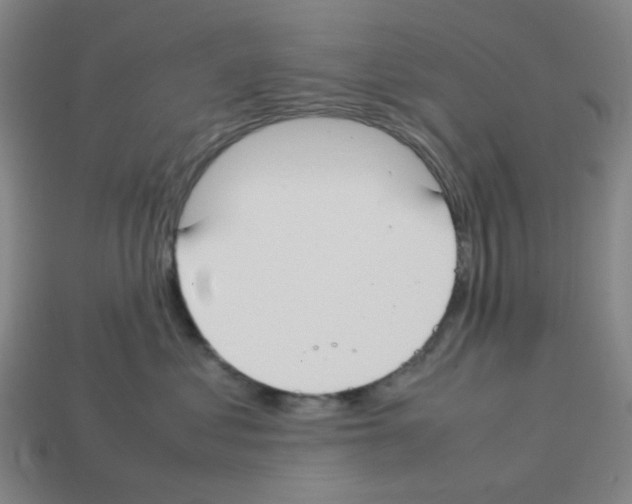 X0000112750621200910011155