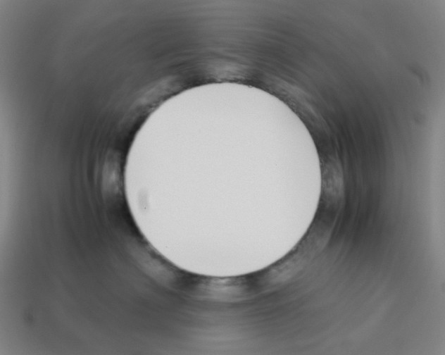 X0000112750622200910011155